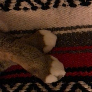 Meet your Posher, Julie